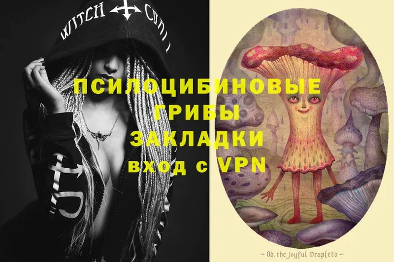 Псилоцибиновые грибы Psilocybe  даркнет какой сайт  Большой Камень 